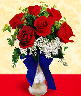 American Beauty